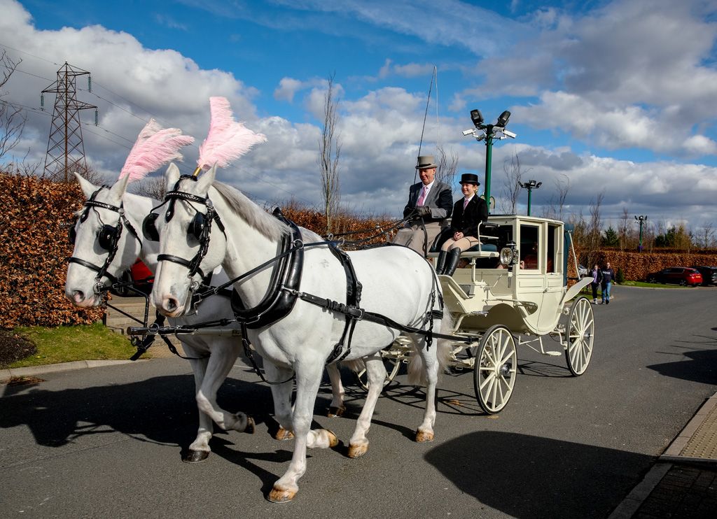 Horse-drawn carriage