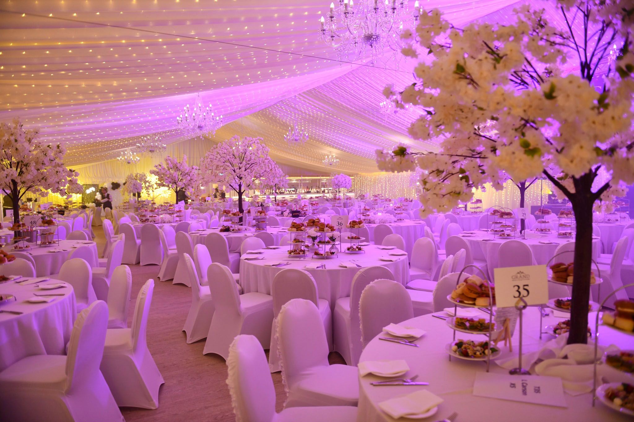 Grand Marquee decorated in white