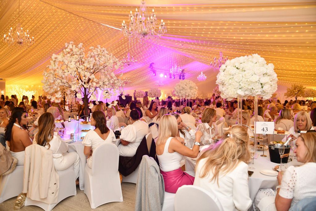 Wide angle of ladies seated for dinner