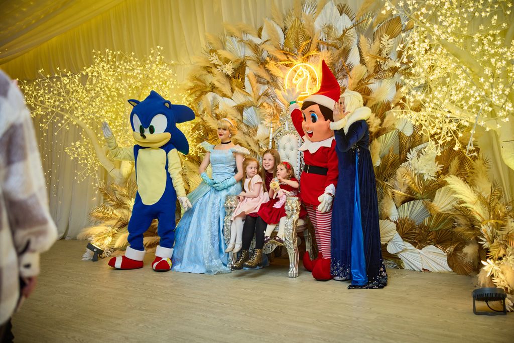 Kids and mum posing with sonic and elf